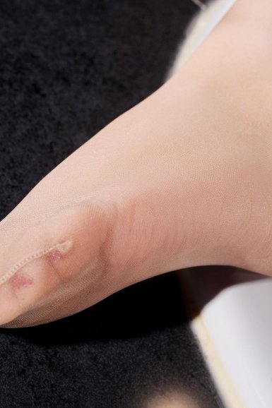 2015年6月2日全国苗鸡行情“雨燕直播网页版”