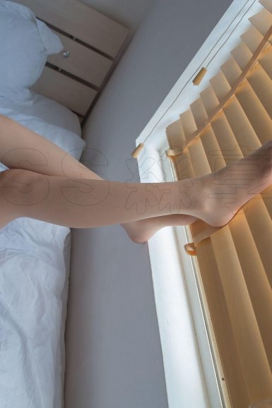 雨燕直播网页版